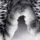 Snow/Black Luxe Cuddle Savanna 58"/60" Fabric per yard