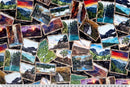 Multi Black National Parks Digital Cuddle Black Fabric per yard