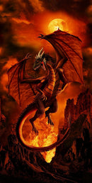 Fire Dragon Fire Panel 24" x 44" Cotton Fabric