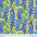 Bluebonnet - Blue Nation of Flowers