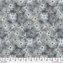 Urchins Storm Grey Sea Sisters
