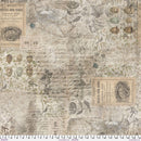 Multi Foundations Eggs & Nest PWTH031-Tim Holtz