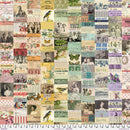 Multi Collage - Multi || Tim Holtz Palette