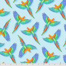 Macaw Ya Later-Daydreamer-Cloud