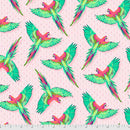 Macaw Ya Later-Daydreamer-Dragonfruit