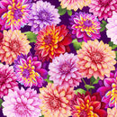 Purple Dahlias Blissful Blooms Cotton 43"/44" Fabric Per Yard