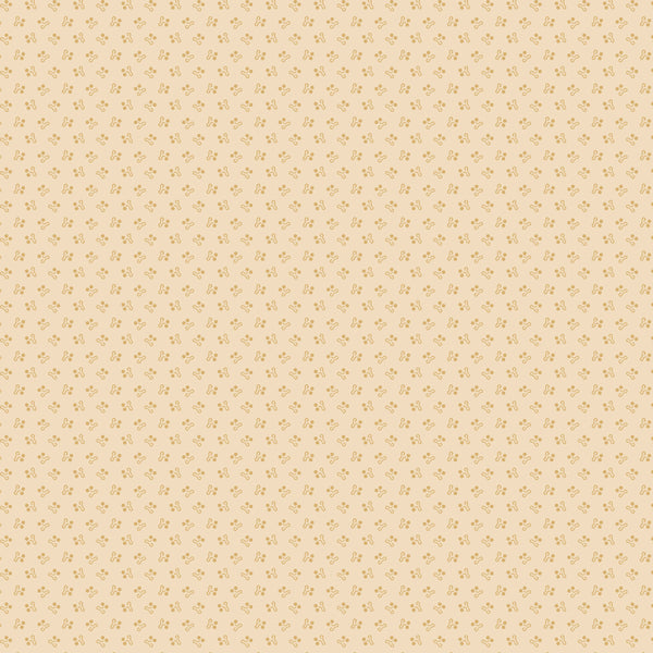 Carrie's Caramels & Creams - Squiggle Nose - Cream