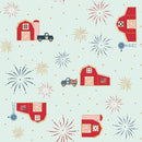 RB Sweet Freedom Barns Bleached Denim Sparkle