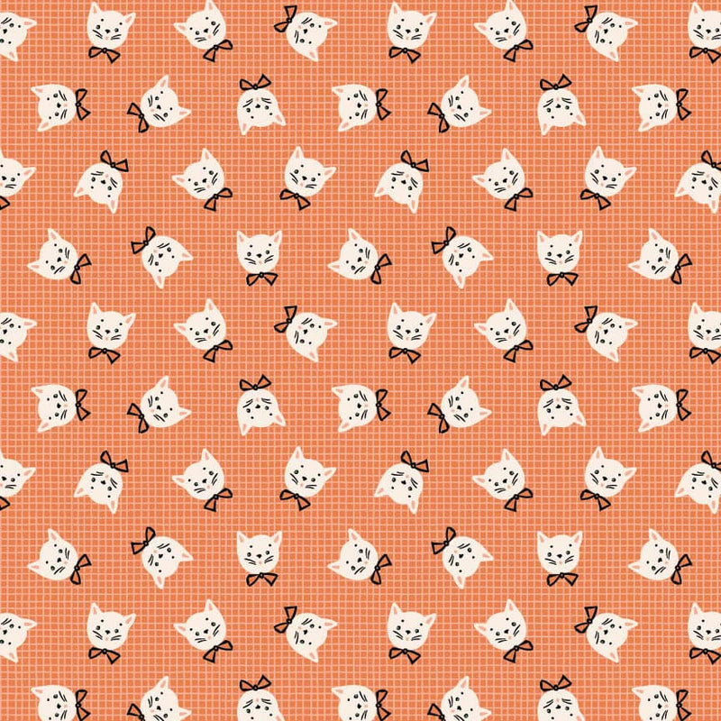 Sweet Tooth - Kitty Box - Orange
