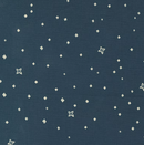 Navy Blender Cadence Twinkle-Crystal Manning