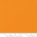 Bella Solids Cheddar