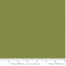 Bella Solids Lichen