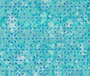 Celebrating 250 Years Small Burst Blue Green