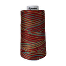F256 Southwest Signature Cotton Variegated Thread