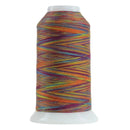 9032 Ole Omni Variegated Polyester Thread
