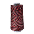 M02 Holiday Signature Cotton Variegated Thread