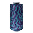 F153 Garden Signature Cotton Variegated Thread