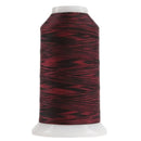 9017 Ladybug Omni Variegated Polyester Thread