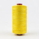 Fruitti 12wt Variegated 100m Spool