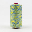 Fruitti 12wt Variegated 100m Spool