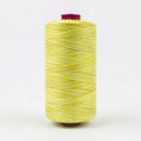 Fruitti 12wt Variegated 100m Spool