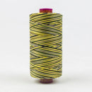 Fruitti 12wt Variegated 100m Spool