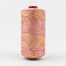 Fruitti 12wt Variegated 100m Spool