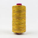 Fruitti 12wt Variegated 100m Spool