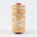 Fruitti 12wt Variegated 100m Spool