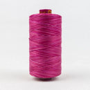 Fruitti 12wt Variegated 100m Spool