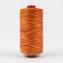 Fruitti 12wt Variegated 100m Spool