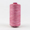 Fruitti 12wt Variegated 100m Spool