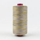 Fruitti 12wt Variegated 100m Spool