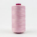 Fruitti 12wt Variegated 100m Spool