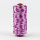 Fruitti 12wt Variegated 100m Spool