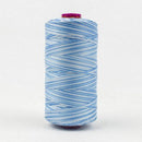 Fruitti 12wt Variegated 100m Spool