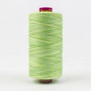 Fruitti 12wt Variegated 100m Spool