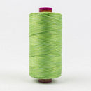 Fruitti 12wt Variegated 100m Spool