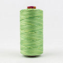 Fruitti 12wt Variegated 100m Spool