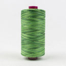 Fruitti 12wt Variegated 100m Spool