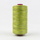 Fruitti 12wt Variegated 100m Spool