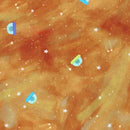 Space Adventure - Spaceships - Atmosphere