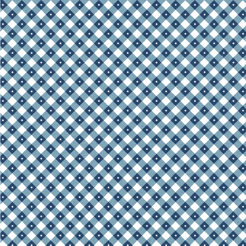 Gingham Picnic - Liberty Blue