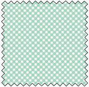 Gingham Picnic - Cool Pool Mint