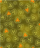 Golden Harvest - Sprigs - Green