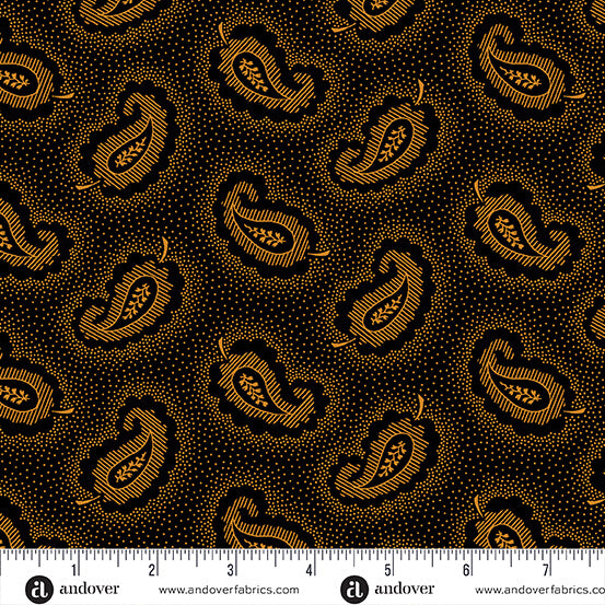 Pumpkin Licorice - Paisley - Black