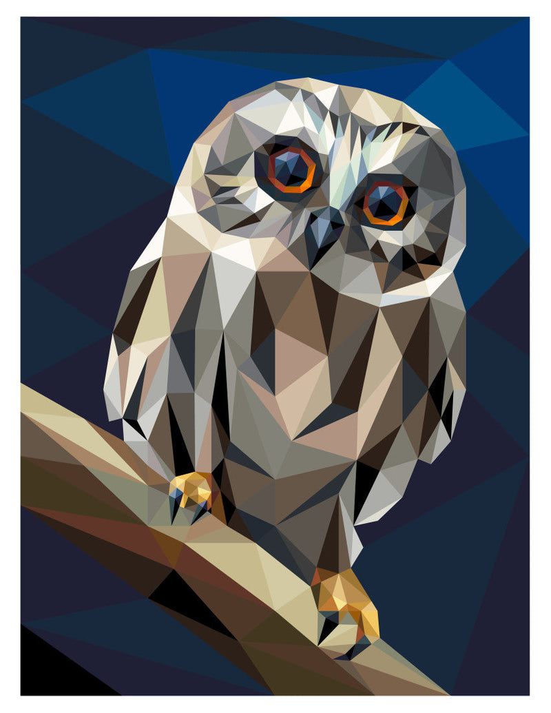 Big Hooter Quilt Kit