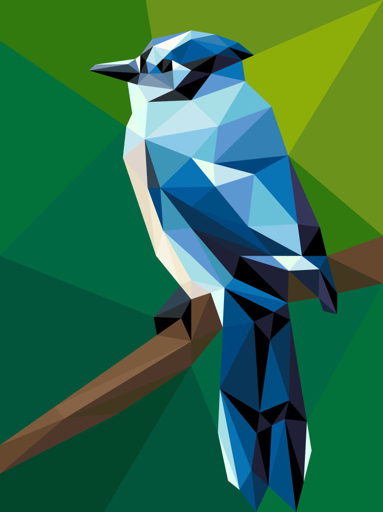 Blue Jay Mini Pattern
