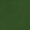 Evergreen Cuddle 3 58/60" Solid Minky Fabric Per Yard