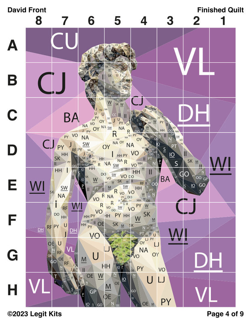 David Front Quilt Kit